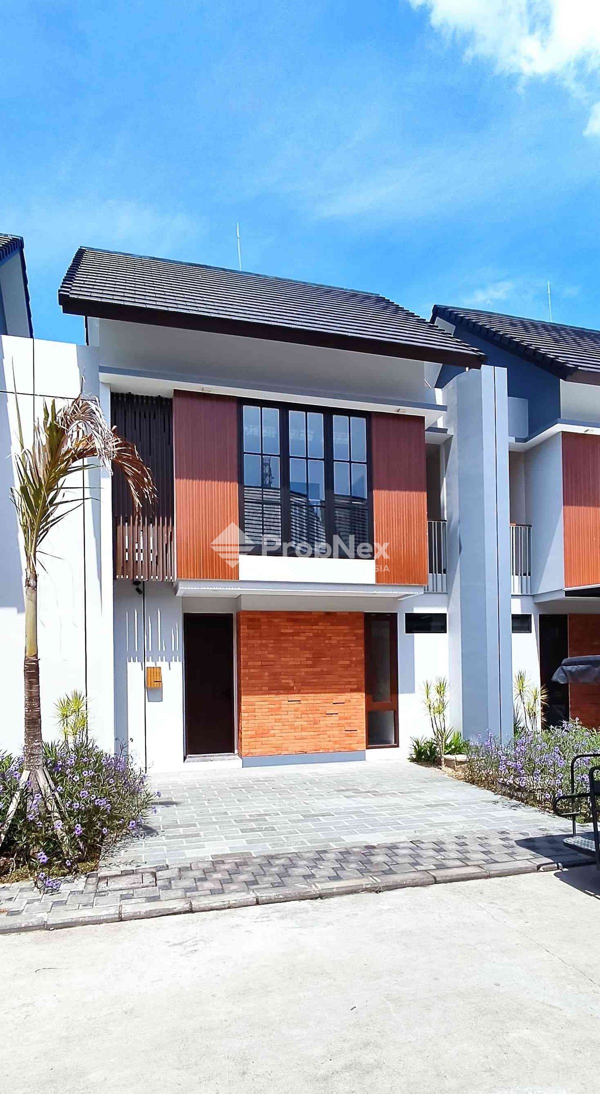 Adhiwangsa Bali Tipe Marigold (DB)